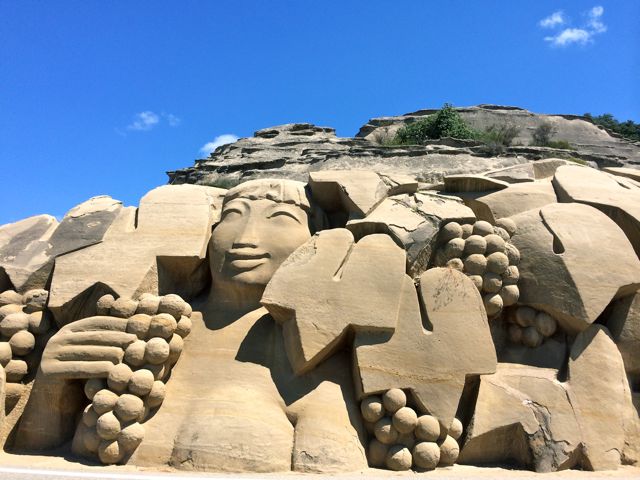 vendangeuse de piegon