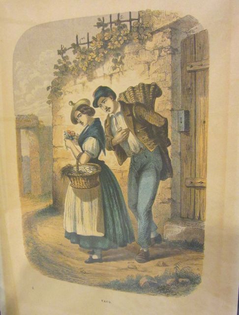 fleuretteenvendangevaud