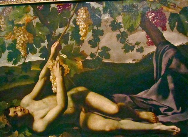 jeunebacchuspeseudosalini