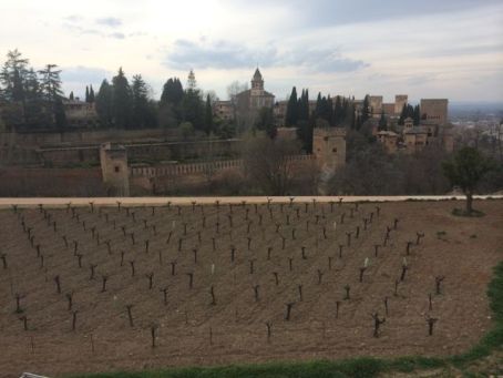 vignesaupieddelalhambra