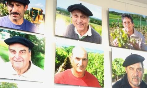 viticulteursplaimont