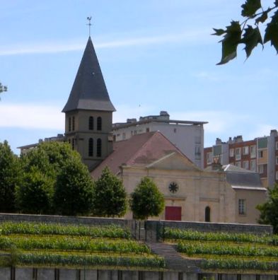 saint-ouen eglise et vignes2