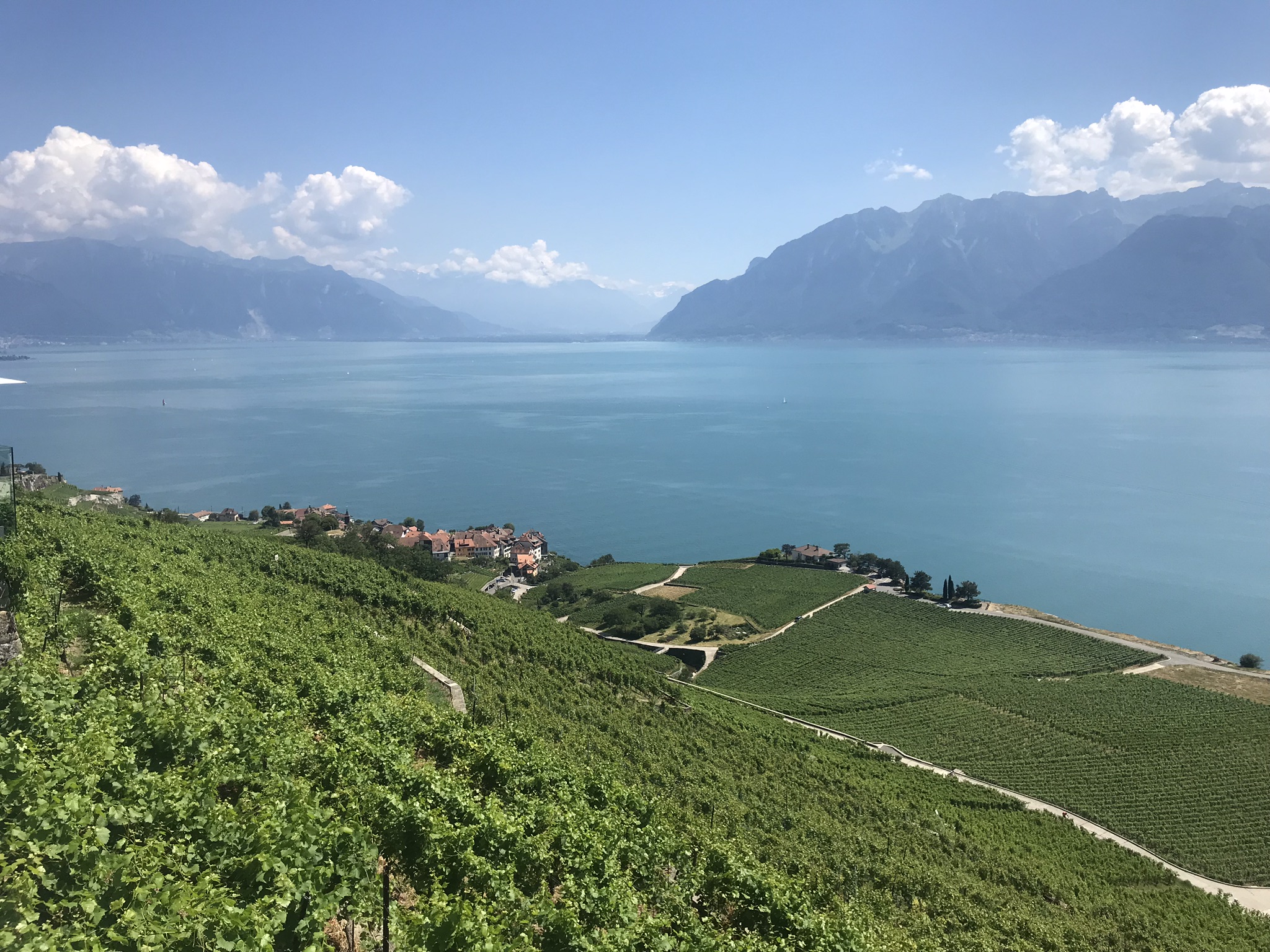 vignoblelavaux