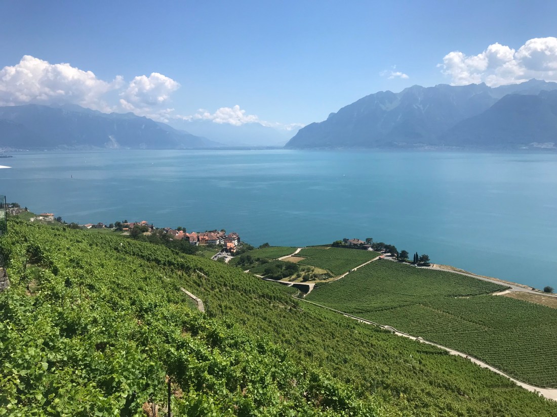 vignoblelavaux