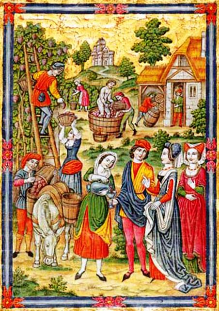 MakingandTastingWine